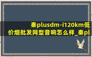 秦plusdm-i120km(低价烟批发网)型音响怎么样_秦plus dmi120km(低价烟批发网)音响效果